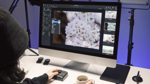 TourBox 在数字创作领域的独步舞，革新软件生态与数字文化